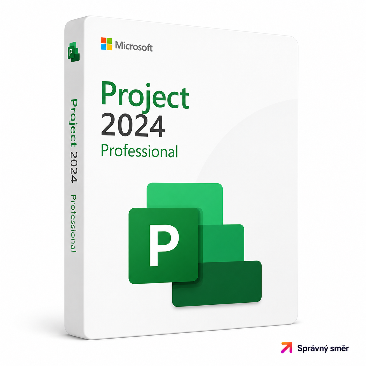 Microsoft Project 2024 Professional