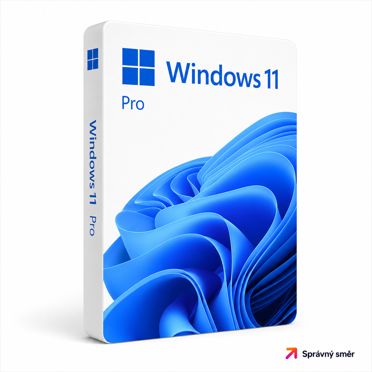 Windows 11 Professional